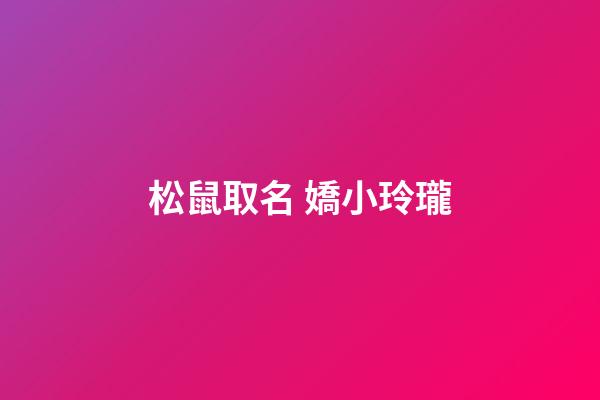 松鼠取名 嬌小玲瓏